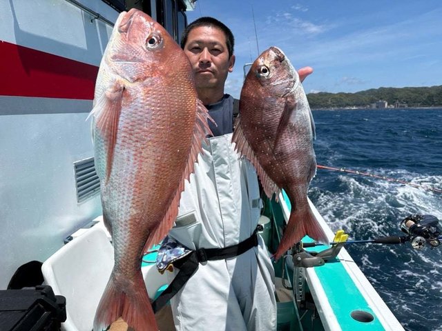 マダイ