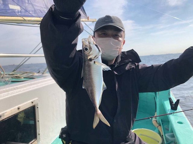 アジ(マアジ)
