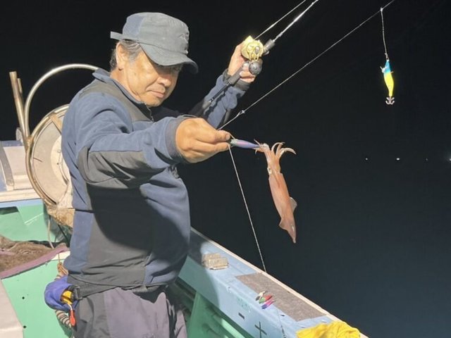 ヤリイカ