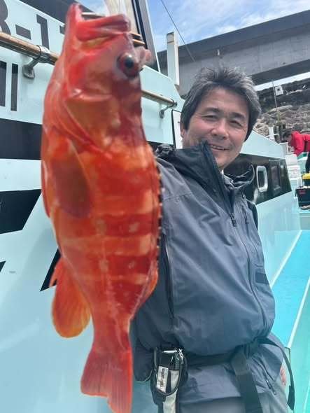 アカハタ