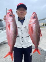 ハチビキ