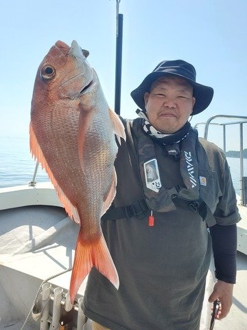 マダイ