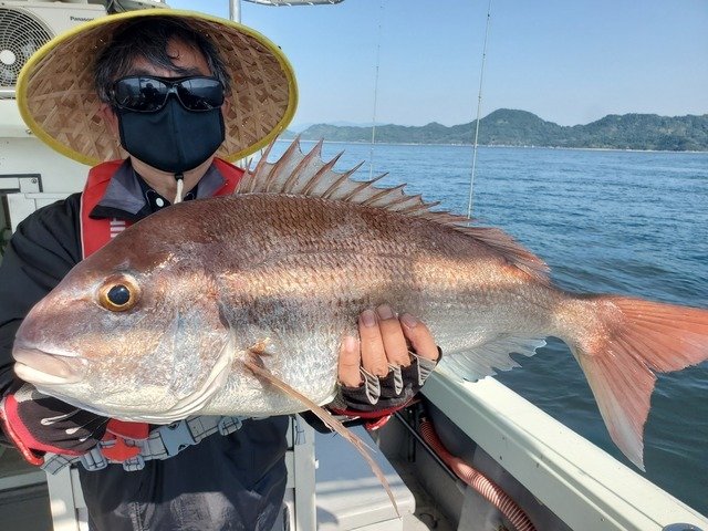 マダイ
