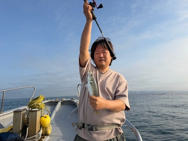 アジ(マアジ)