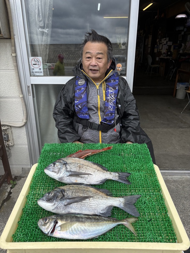 クロダイ・アジ(マアジ)