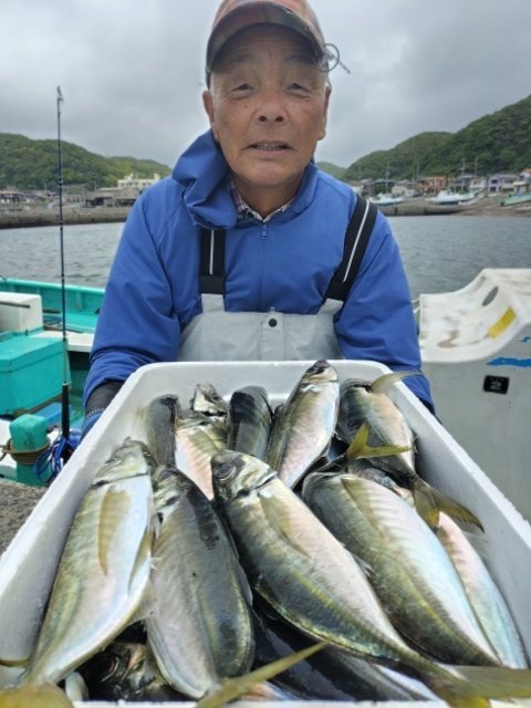 アジ(マアジ)