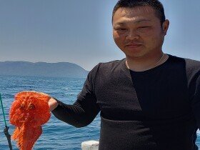 オニカサゴ