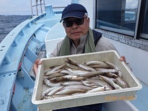 シロギス