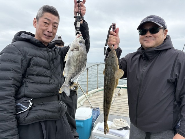 マゴチ