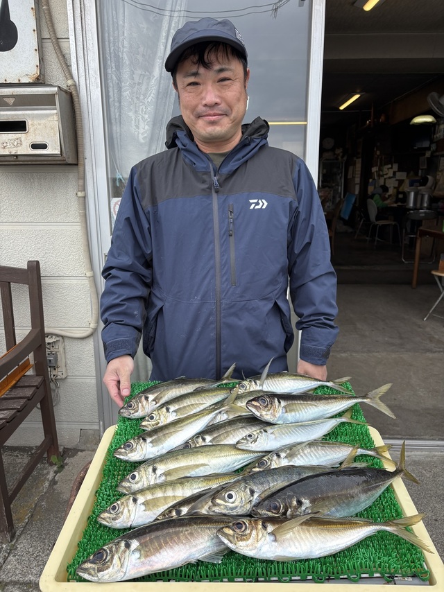 アジ(マアジ)