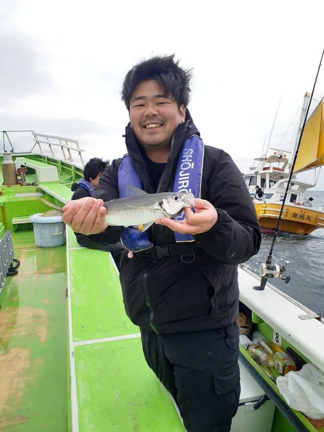 アジ(マアジ)