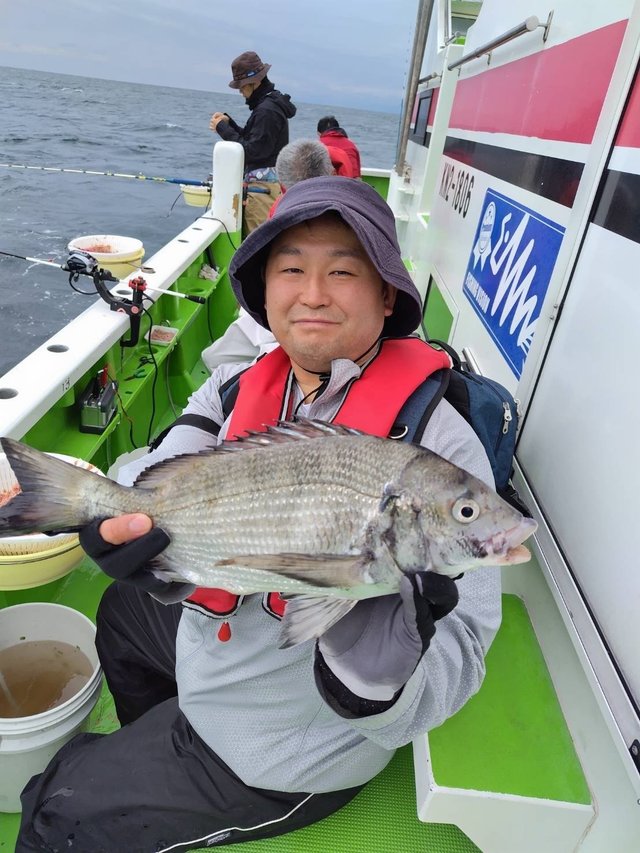 クロダイ