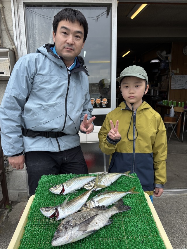 アジ(マアジ)・イラ