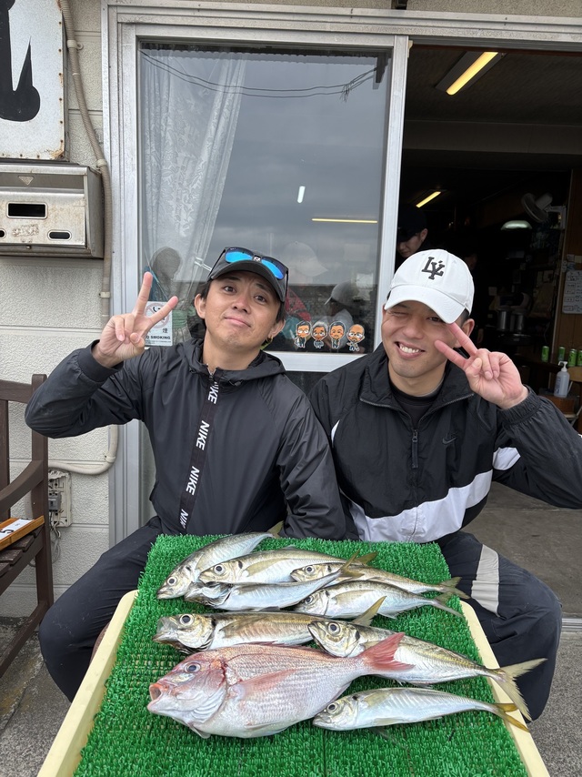アジ(マアジ)