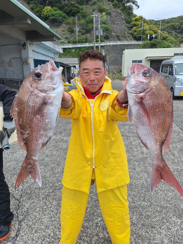 マダイ