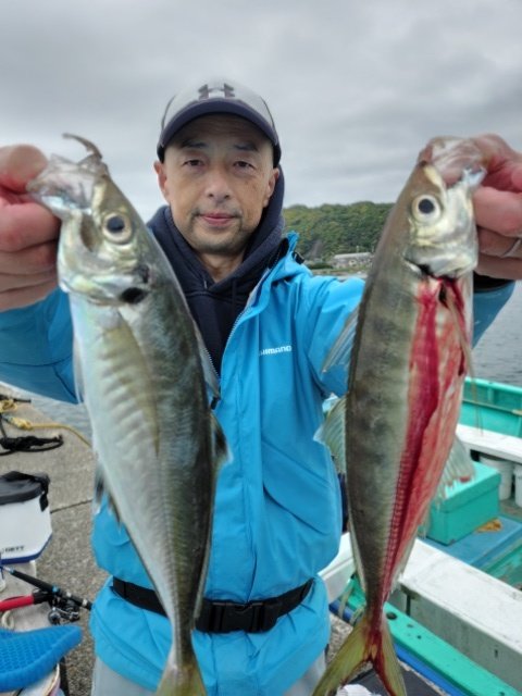アジ(マアジ)