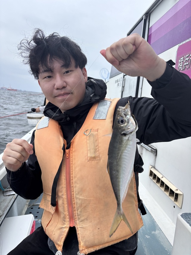 アジ(マアジ)