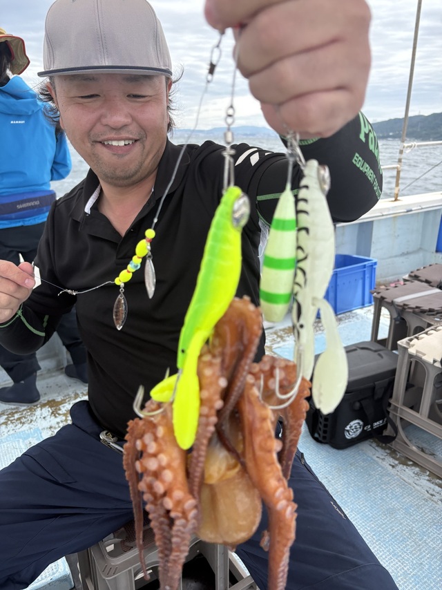 マダコ