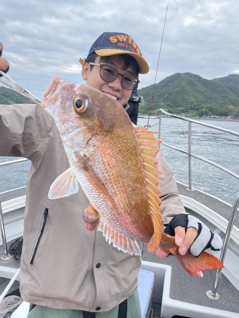 マダイ