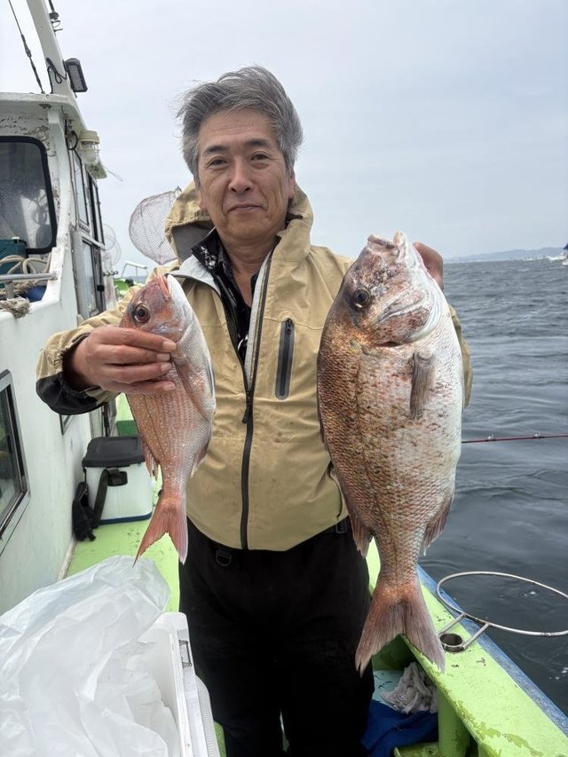 マダイ