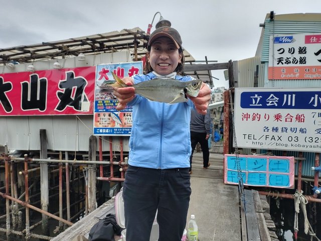 アジ(マアジ)