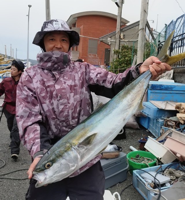 ワラサ(ブリ)