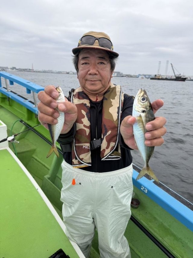 マアジ