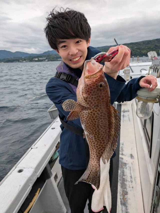 オオモンハタ