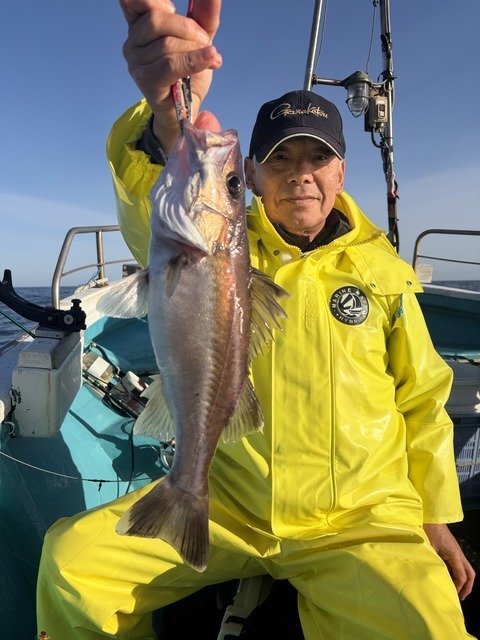 アラ