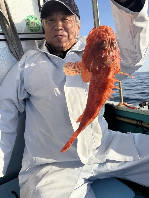 オニカサゴ