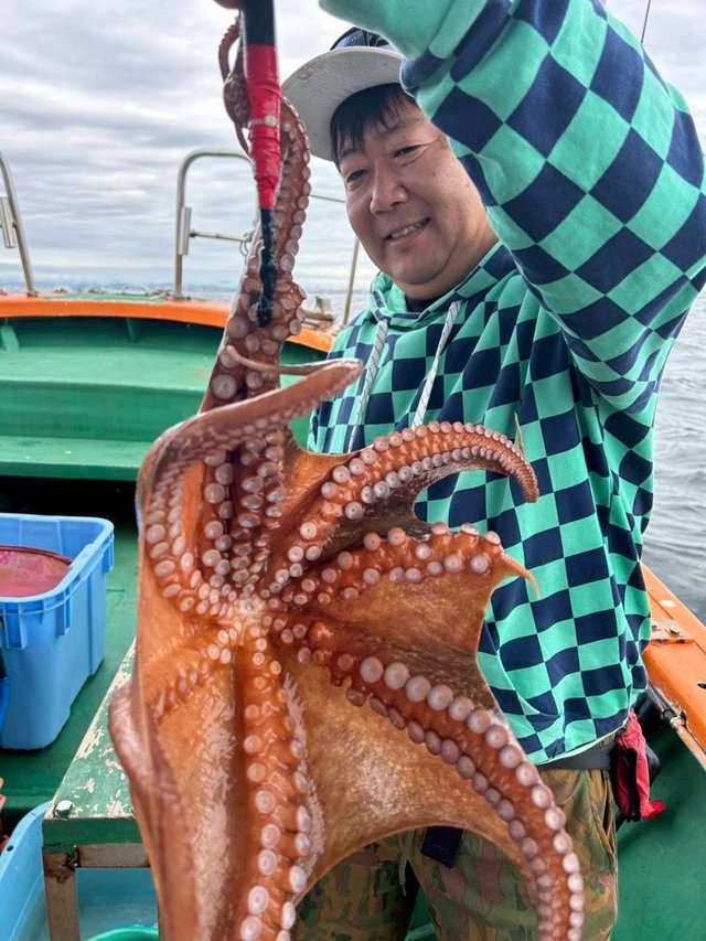 タコ(マダコ)