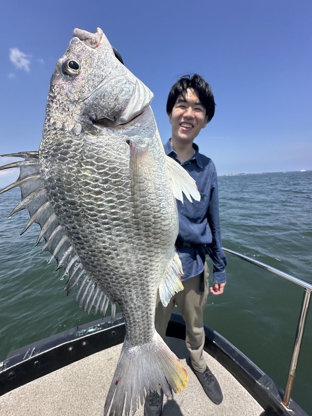 キビレ(キチヌ)