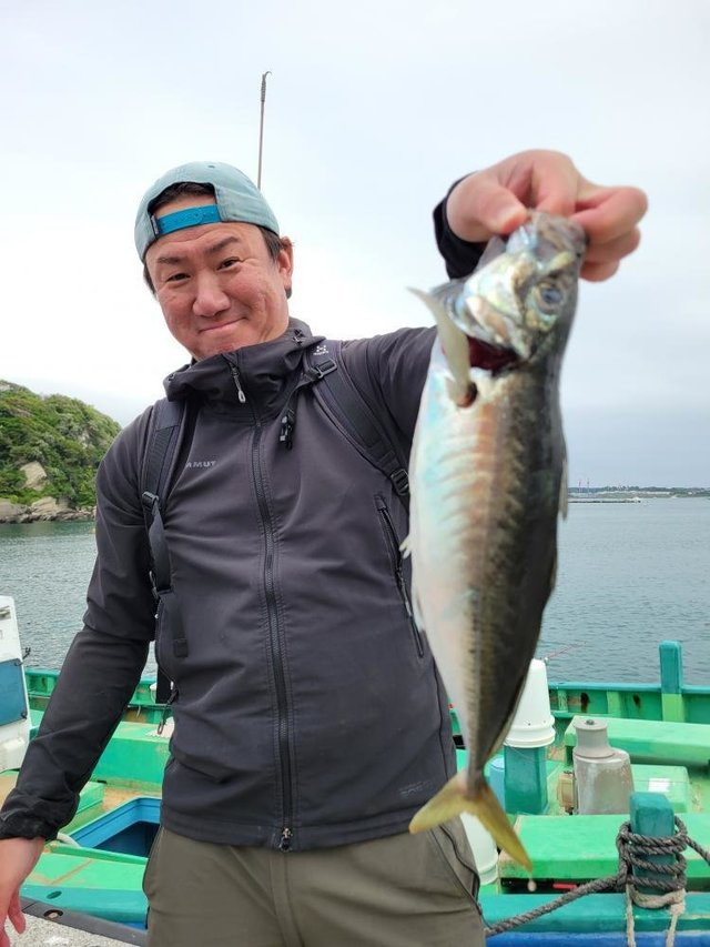 アジ(マアジ)