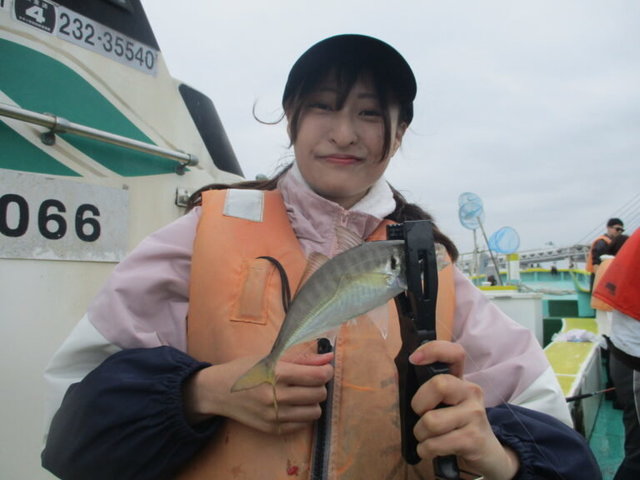 アジ(マアジ)