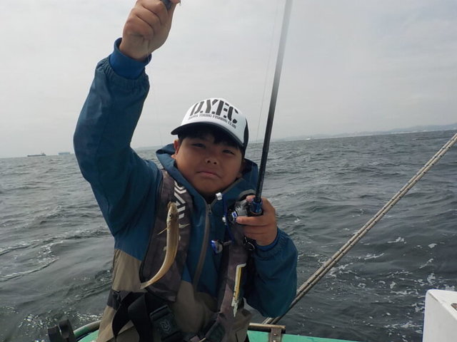 シロギス