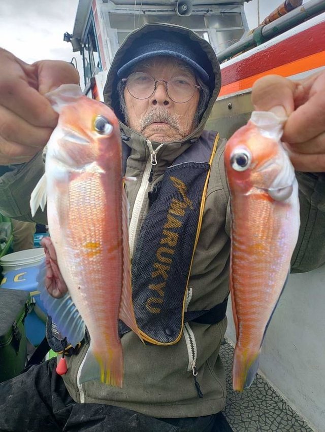 アマダイ(アカアマダイ)