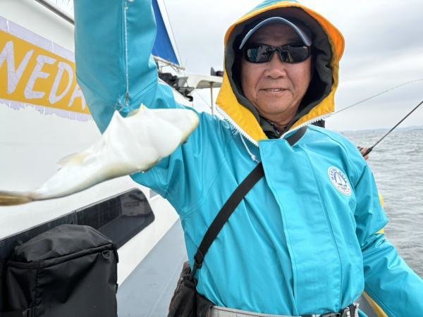 ショウサイフグ