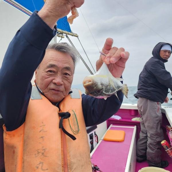 ショウサイフグ