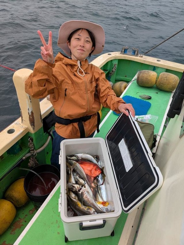 アジ(マアジ)