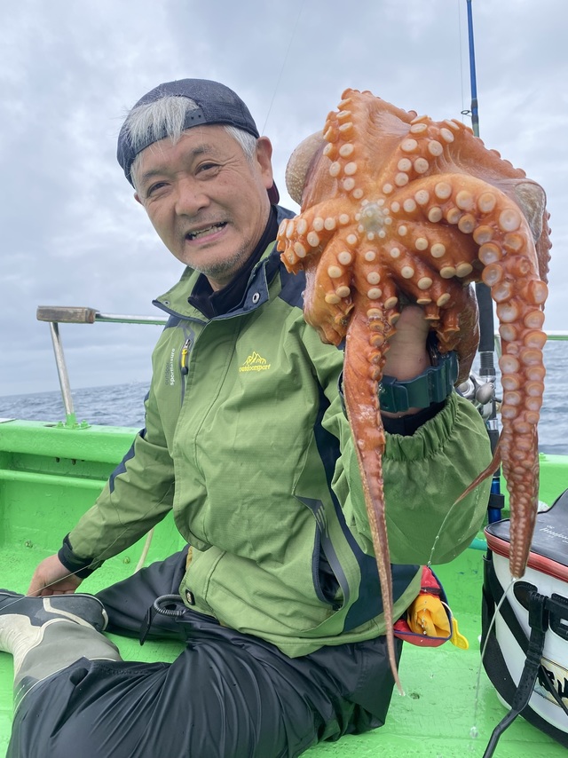マダコ