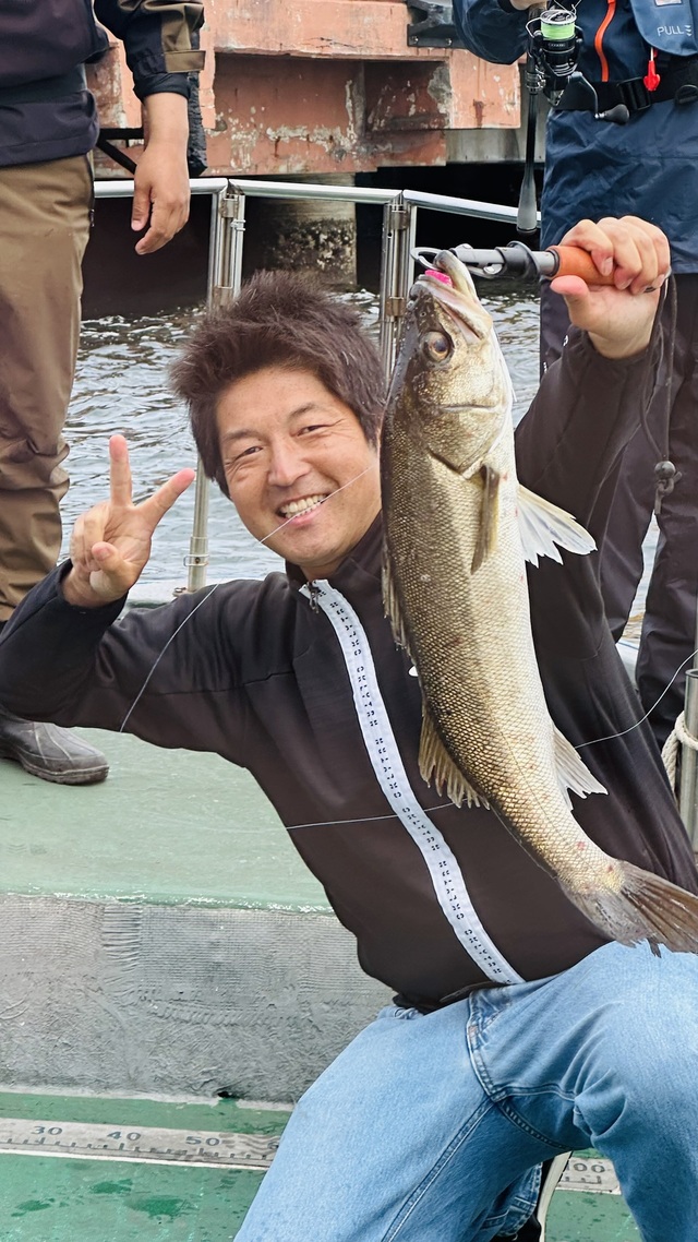 シーバス(スズキ)