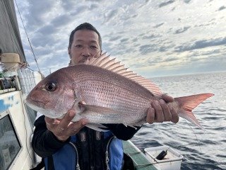 マダイ