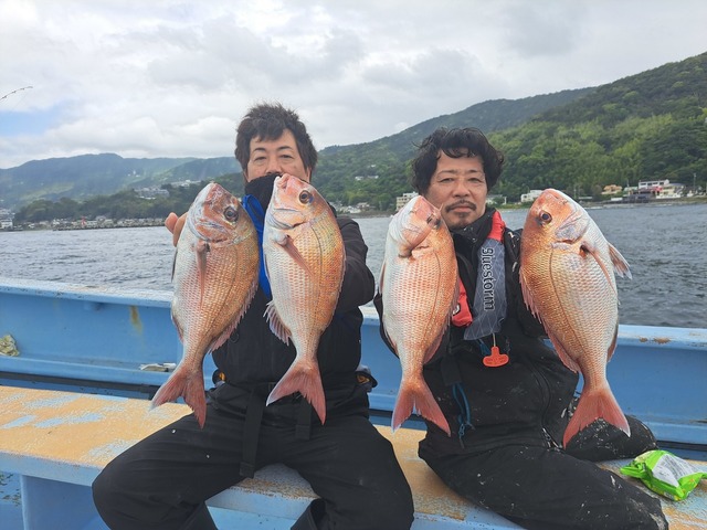 タイ(マダイ)