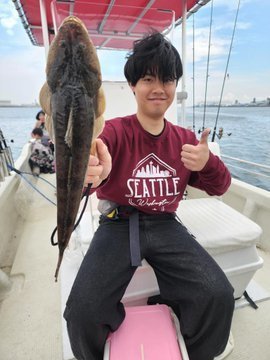 マゴチ