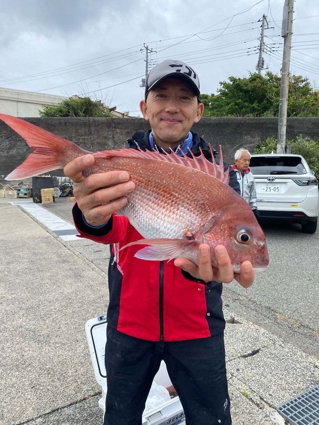 マダイ