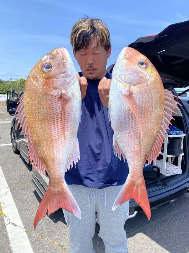 マダイ