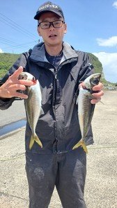 アジ(マアジ)