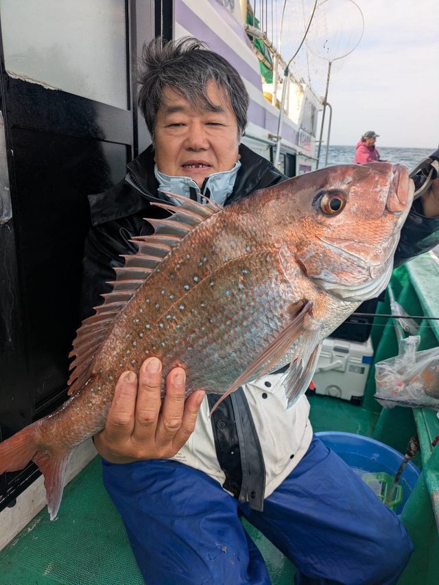 マダイ