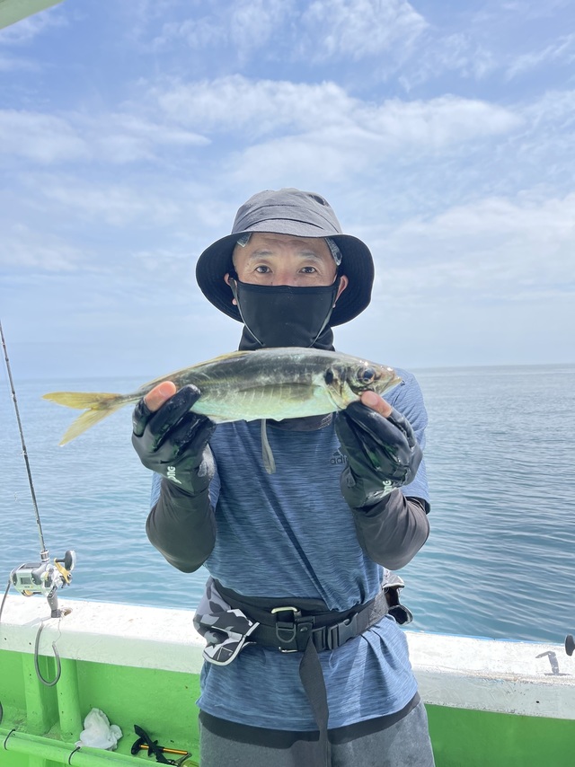 アジ(マアジ)