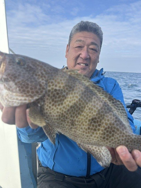 オオモンハタ